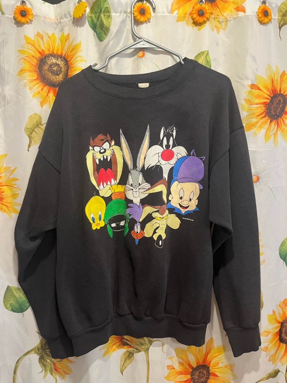 Black Looney Tunes Character Graphic Sweatshirt - Men